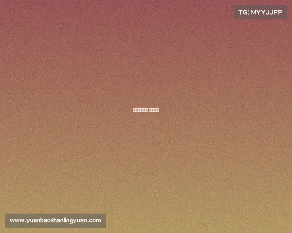 篮球赛事公司 篮球企业