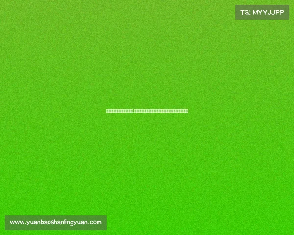 冰球比赛分为哪三个区域;冰球赛事全盘点探索世界顶级联赛锦标赛与奥运会